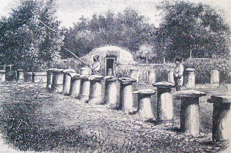 історія українського бджільництва