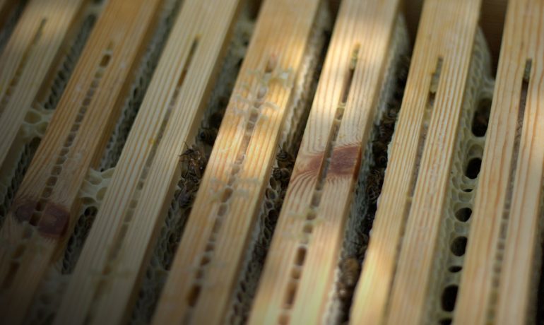 акарацидные полоски