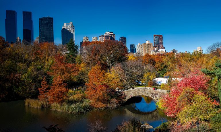 Парк опылителей Гамильтон