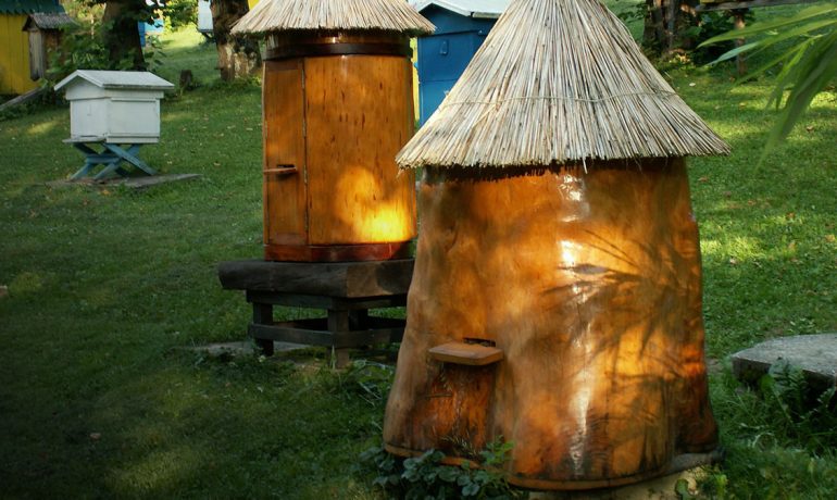 Колодне бджільництво