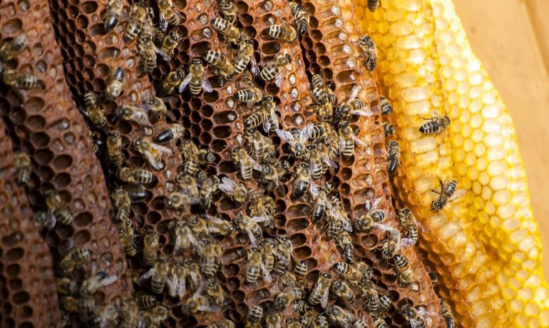 Сильная слабая семья