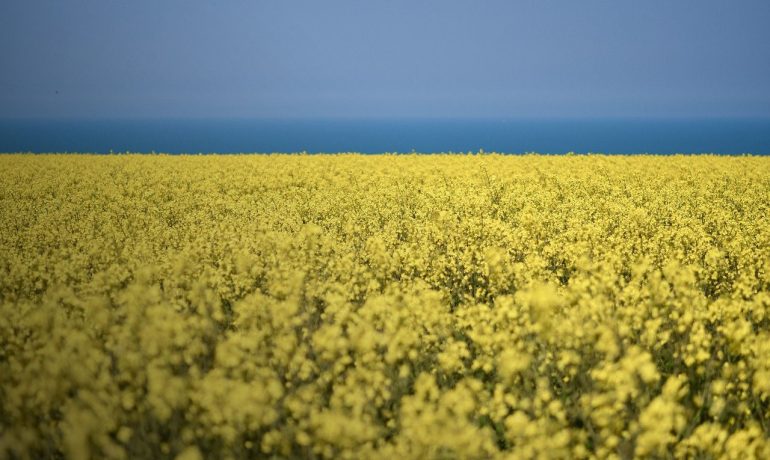 Урожай украина 2021