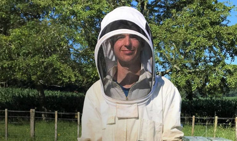 Пчеловодство Новая Зеландия