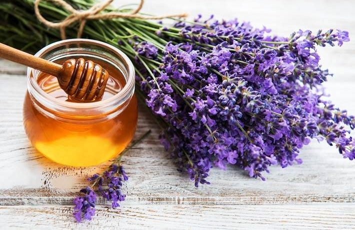 мед Франция