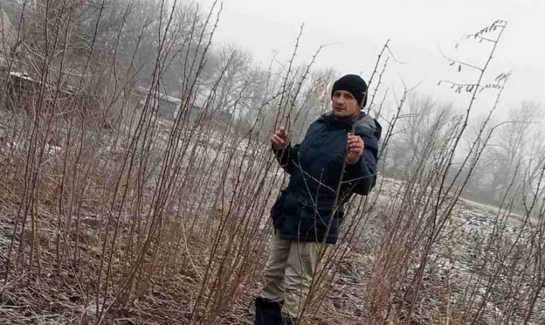 акації пасічник