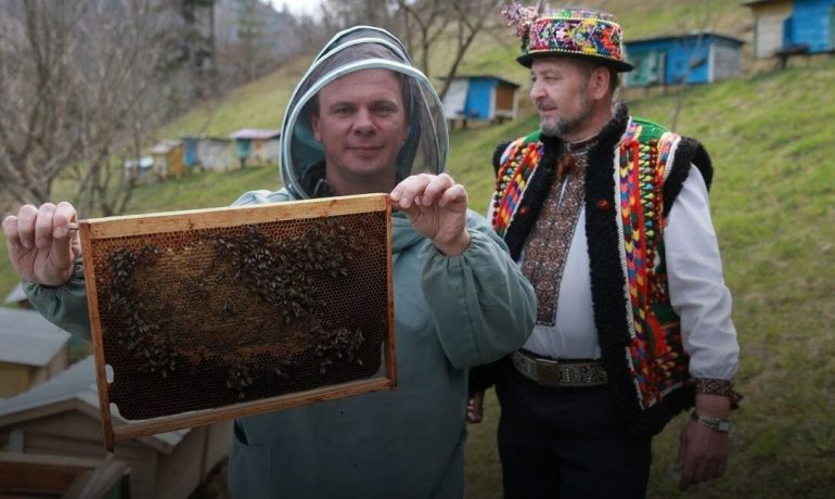 Дмитро Комаров бджоли