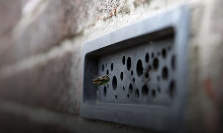 Бджолині кірпічі