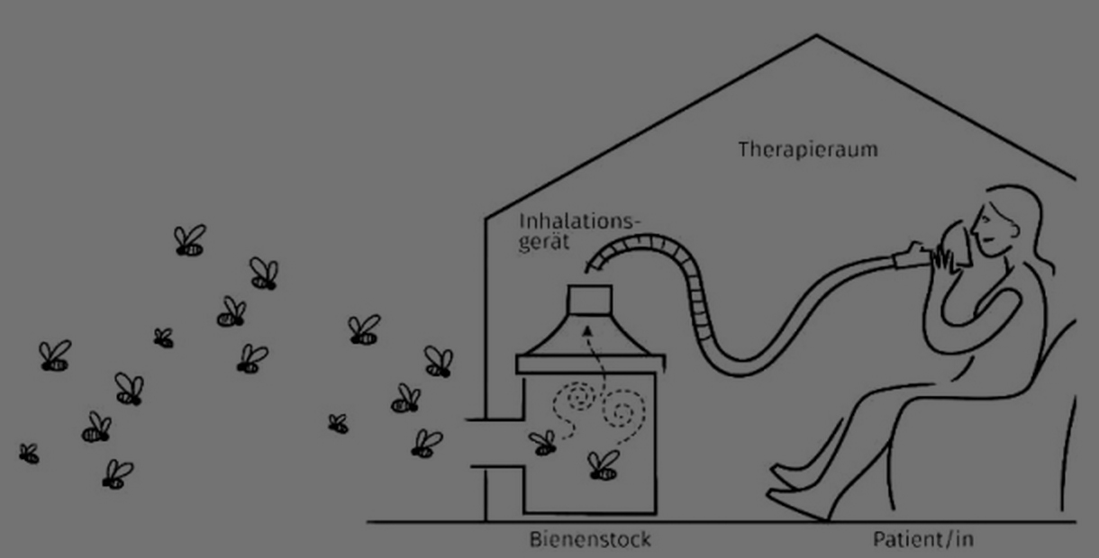Терапевтичні пасіки та апітерапія: нові можливості